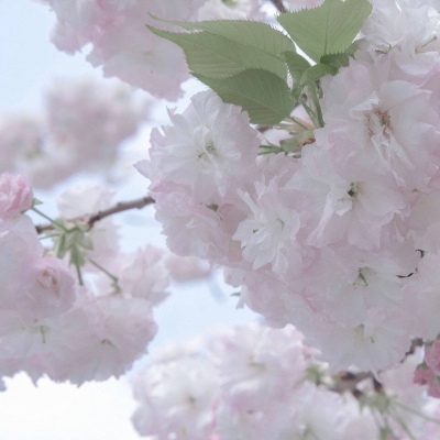 Furry手绘上色教程兽圈群